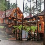 Villa Guci Forest: Pengalaman Menginap di Hutan Pinus